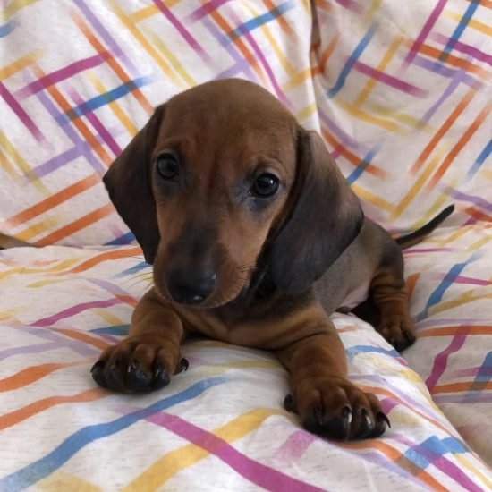 WhatsApp Image 2025-05-20 at 10.40.54